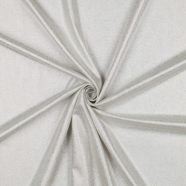 VISKOS/LIN HOLOGRAM-GLAM NATURVIT/SILVER FG 1