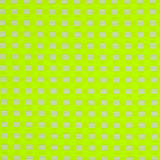 Bäckochbölja Neonrutan stor neongul fg 2